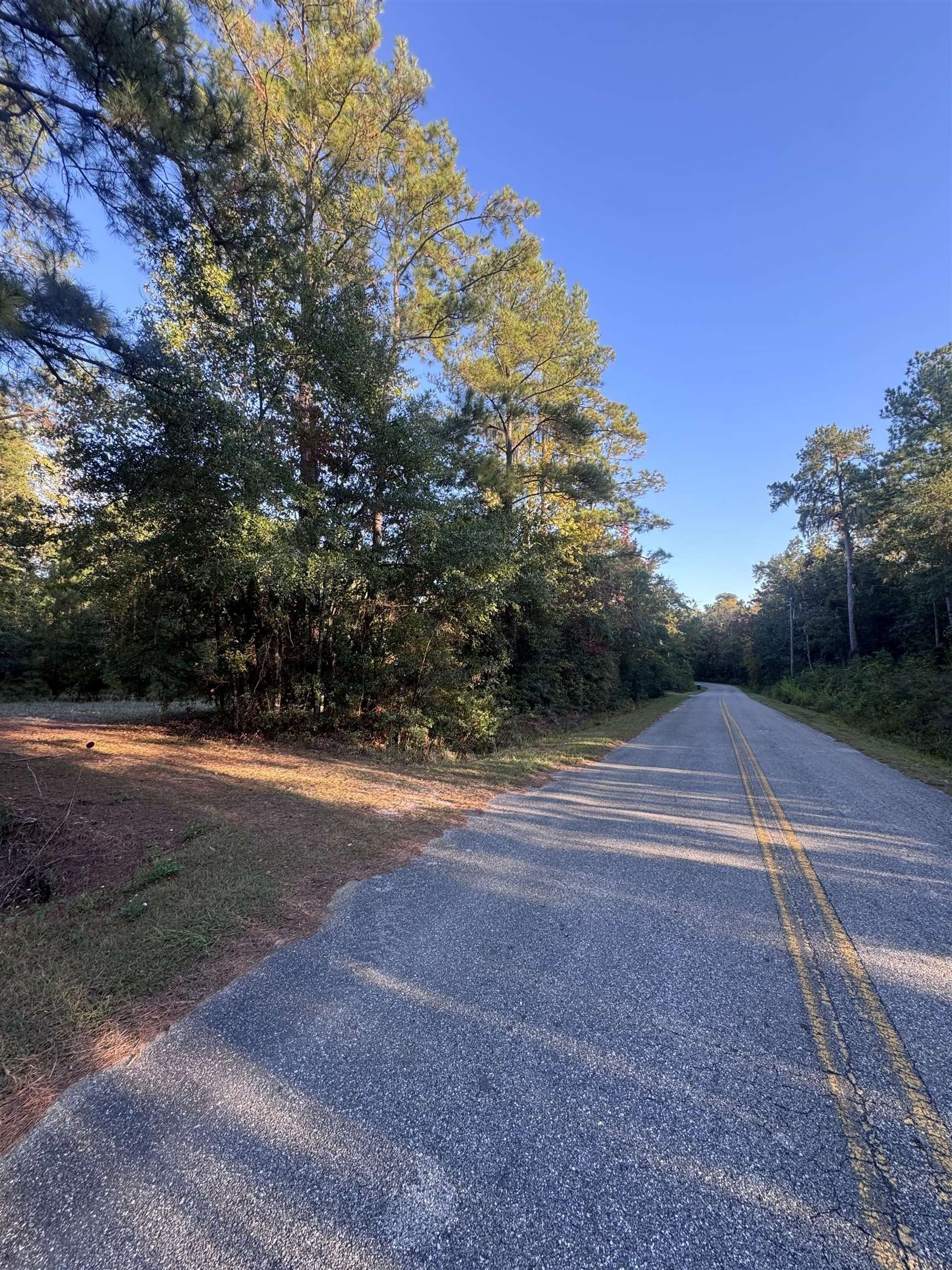 Cleared Lot Near Lake Tarquin