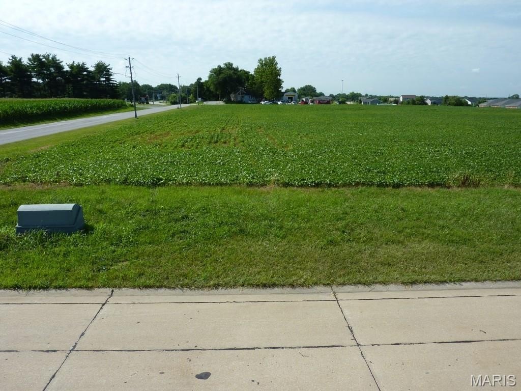 Picture 2