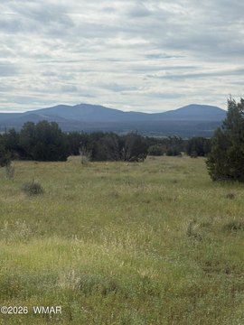 Land, Vernon, AZ