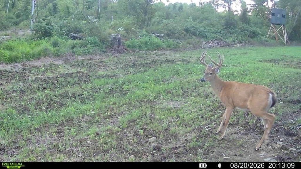 Picture 12
