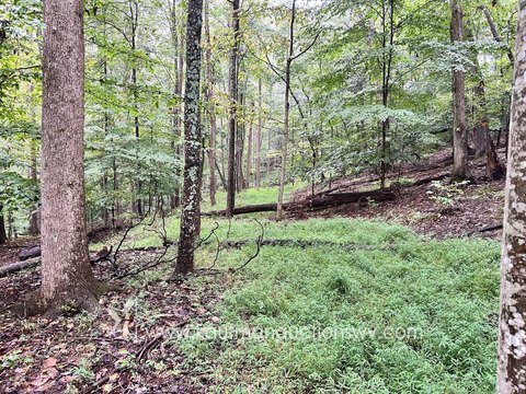 Land, Saint Albans, WV