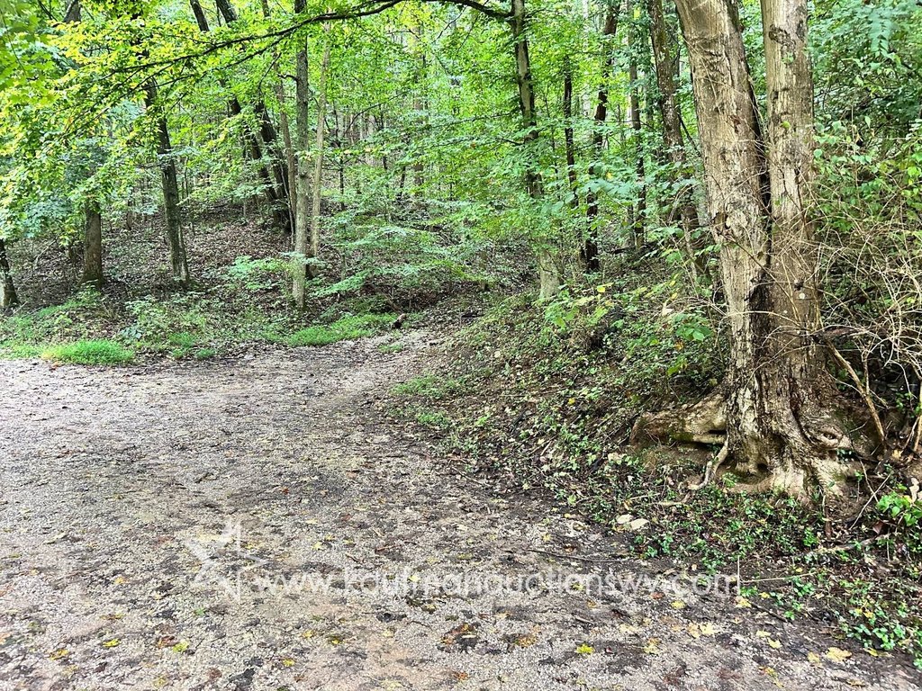 Picture 17