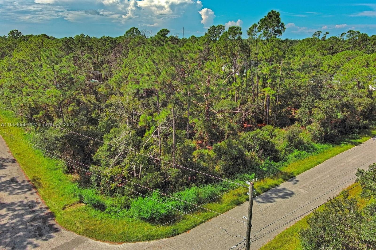 North Port Corner Lot
