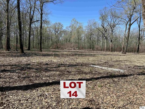 LAND - Marion, LA