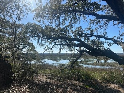 Waterfront Land on Johns Island