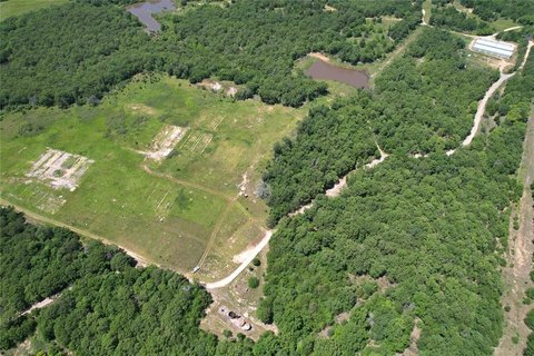 Secluded Land with Hunting Potential