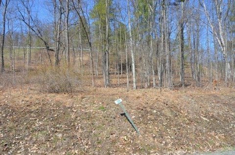 Residential Land in Hemlock Hills