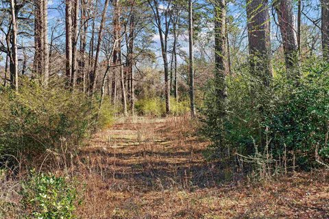Residential Lot in Kilgore, TX