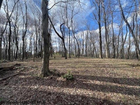 Land Suitable for Building