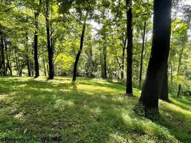 Picture 9