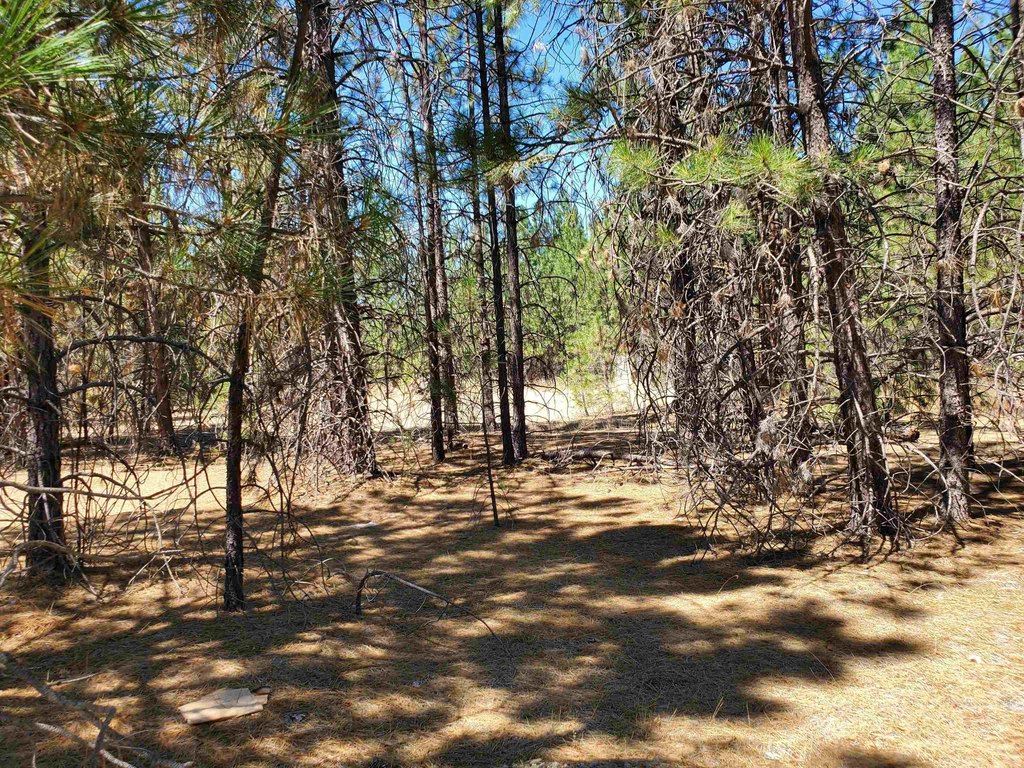 Picture 27