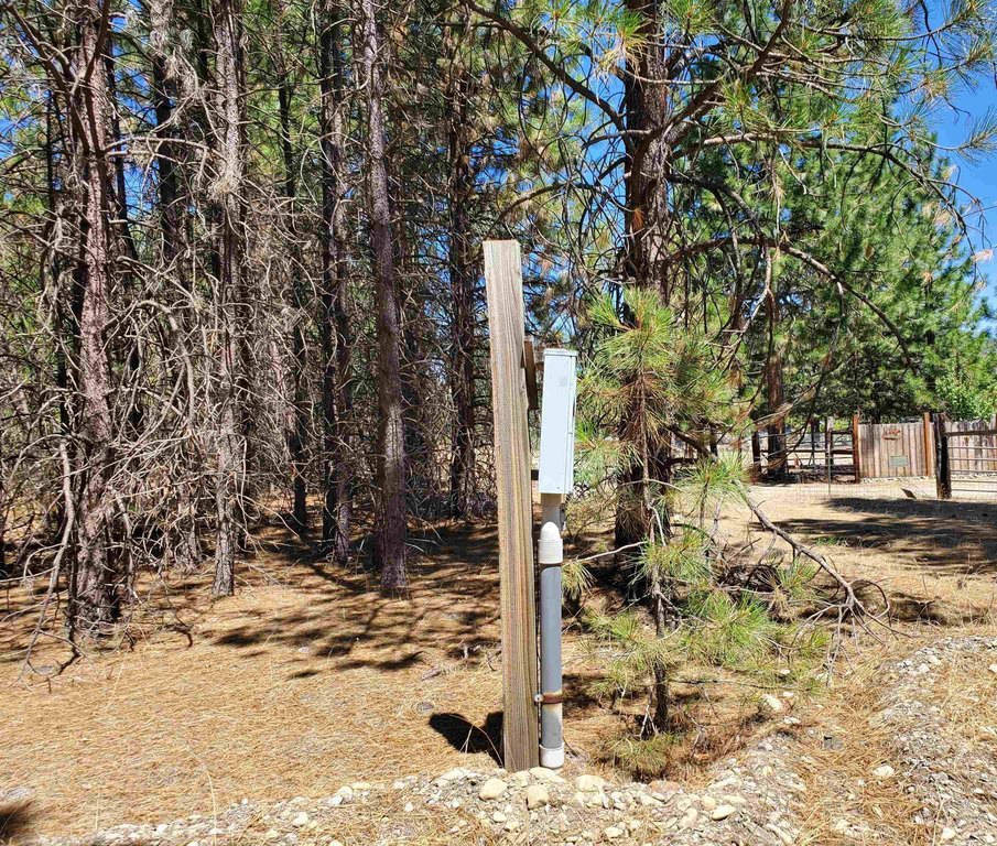 Picture 15