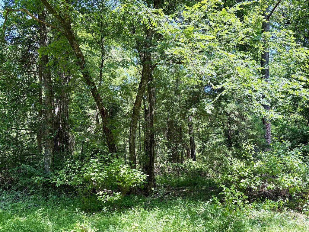 Picture 37
