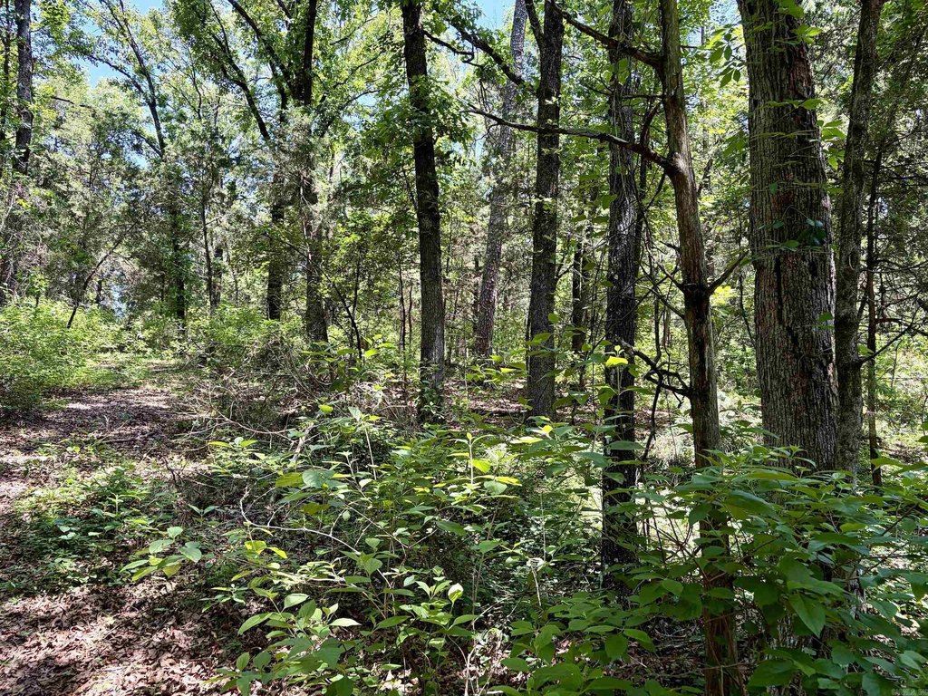 Picture 24