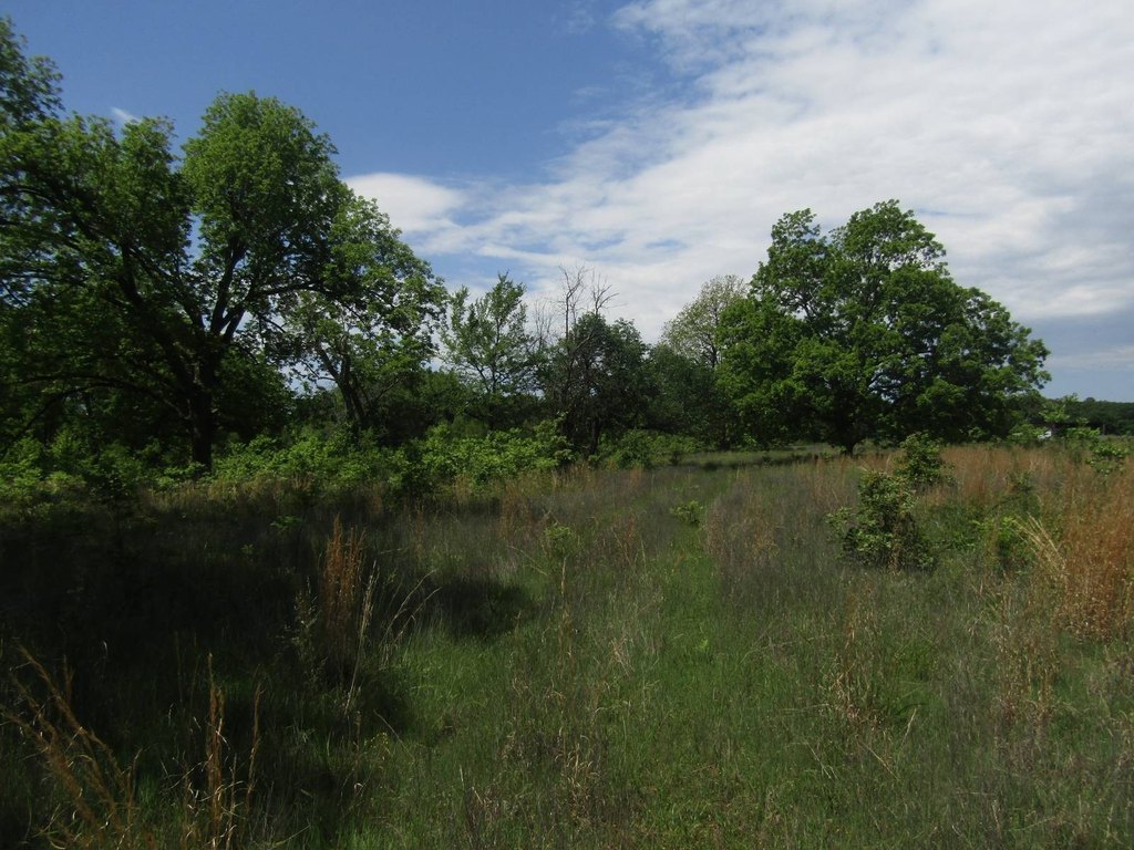 Picture 41