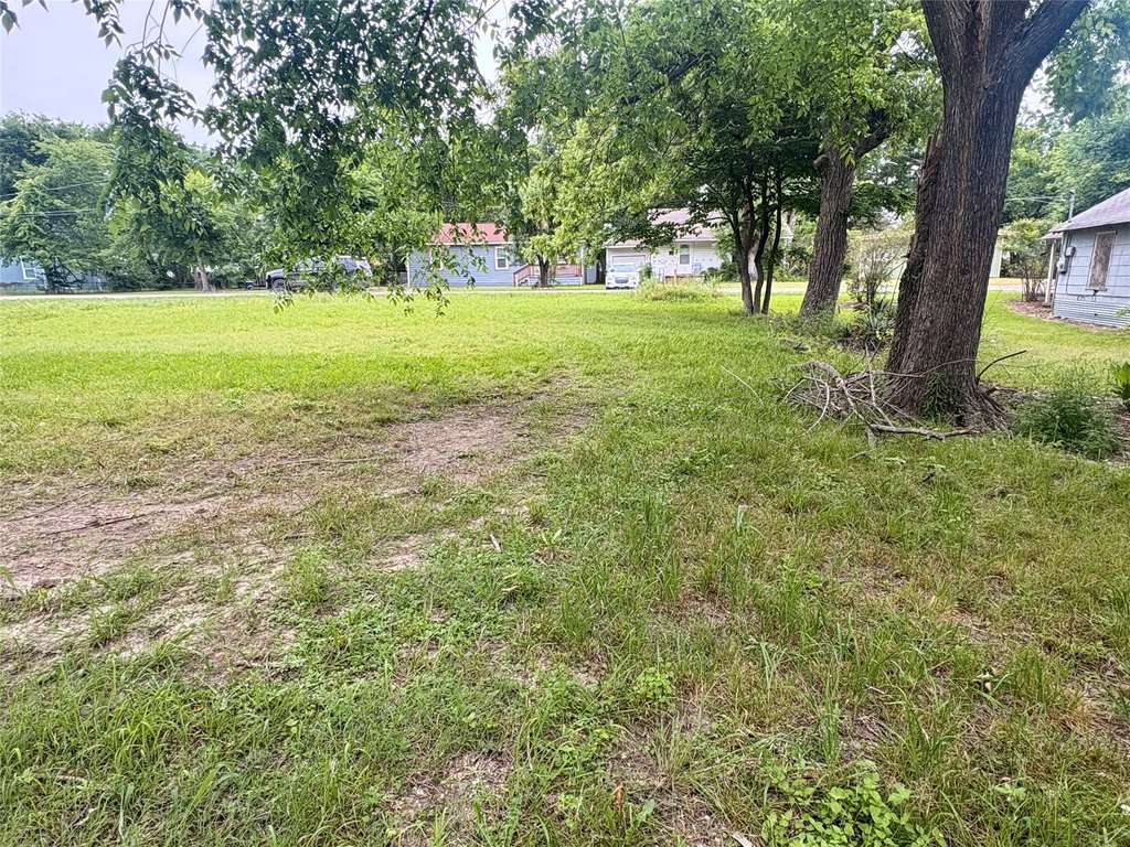 Picture 2