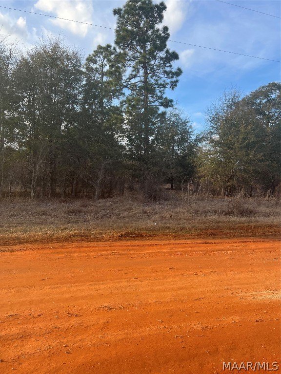 Land in Miller's Ferry Area