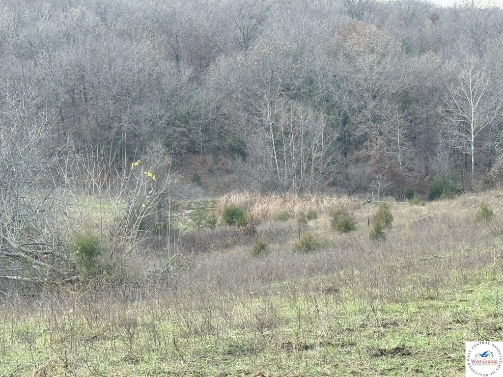 Picture 20