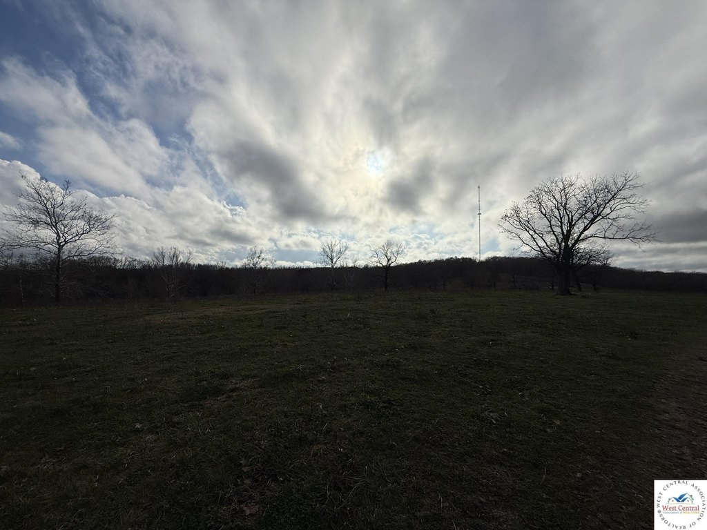 Picture 19