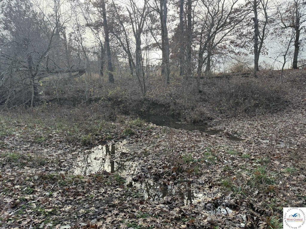 Picture 44