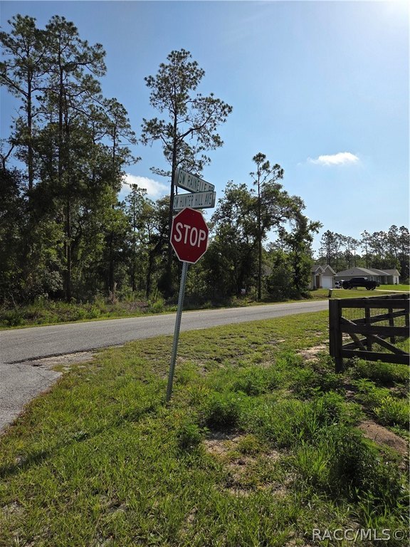 Picture 19