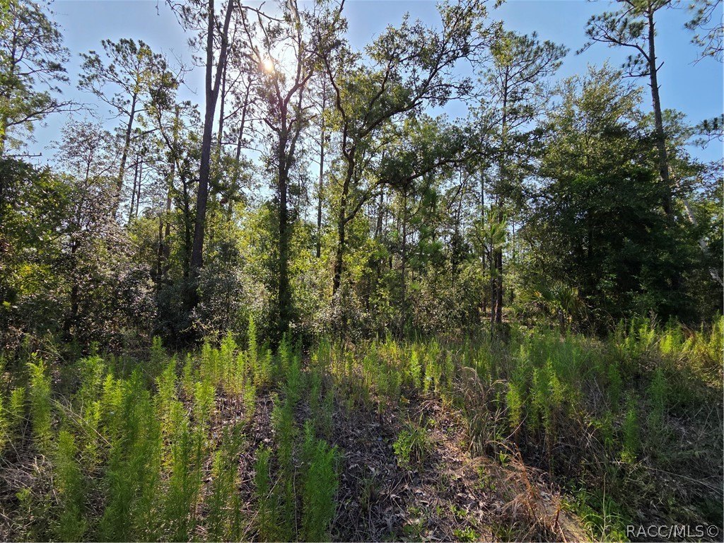 Picture 17