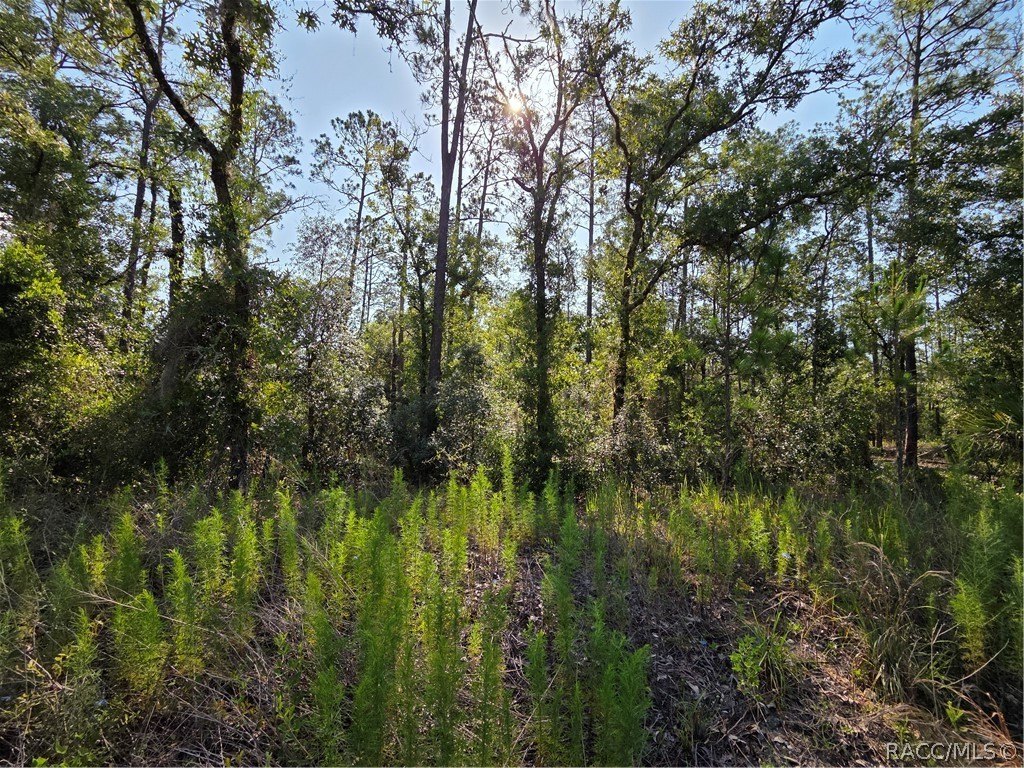Picture 18