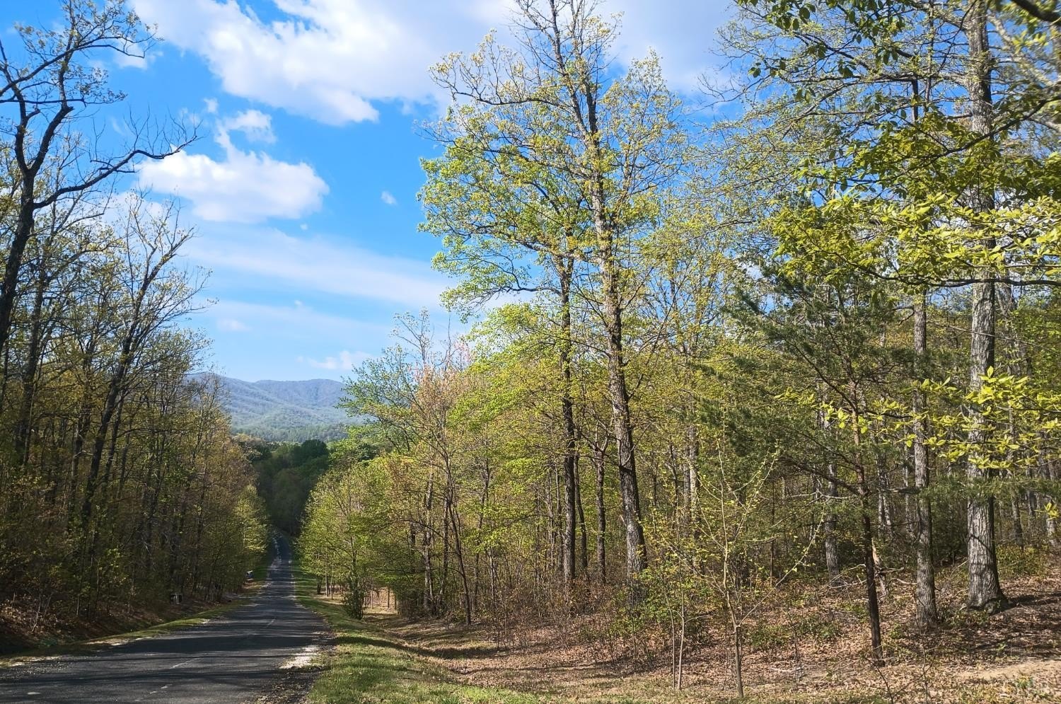 Nellysford Land with Mountain Views