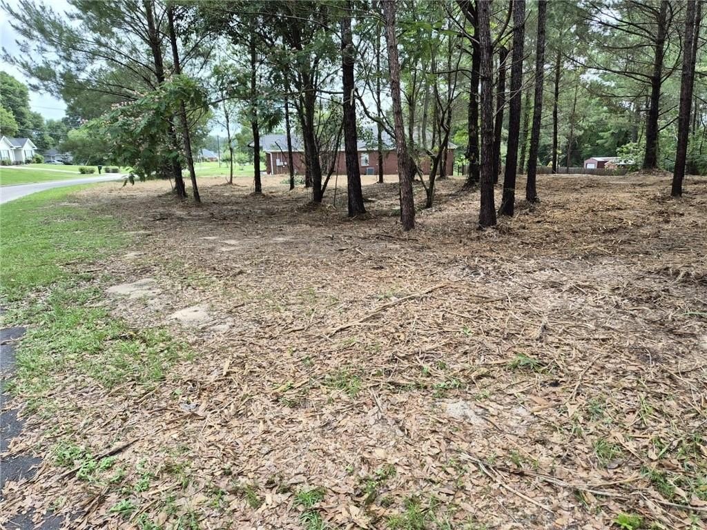 Picture 6