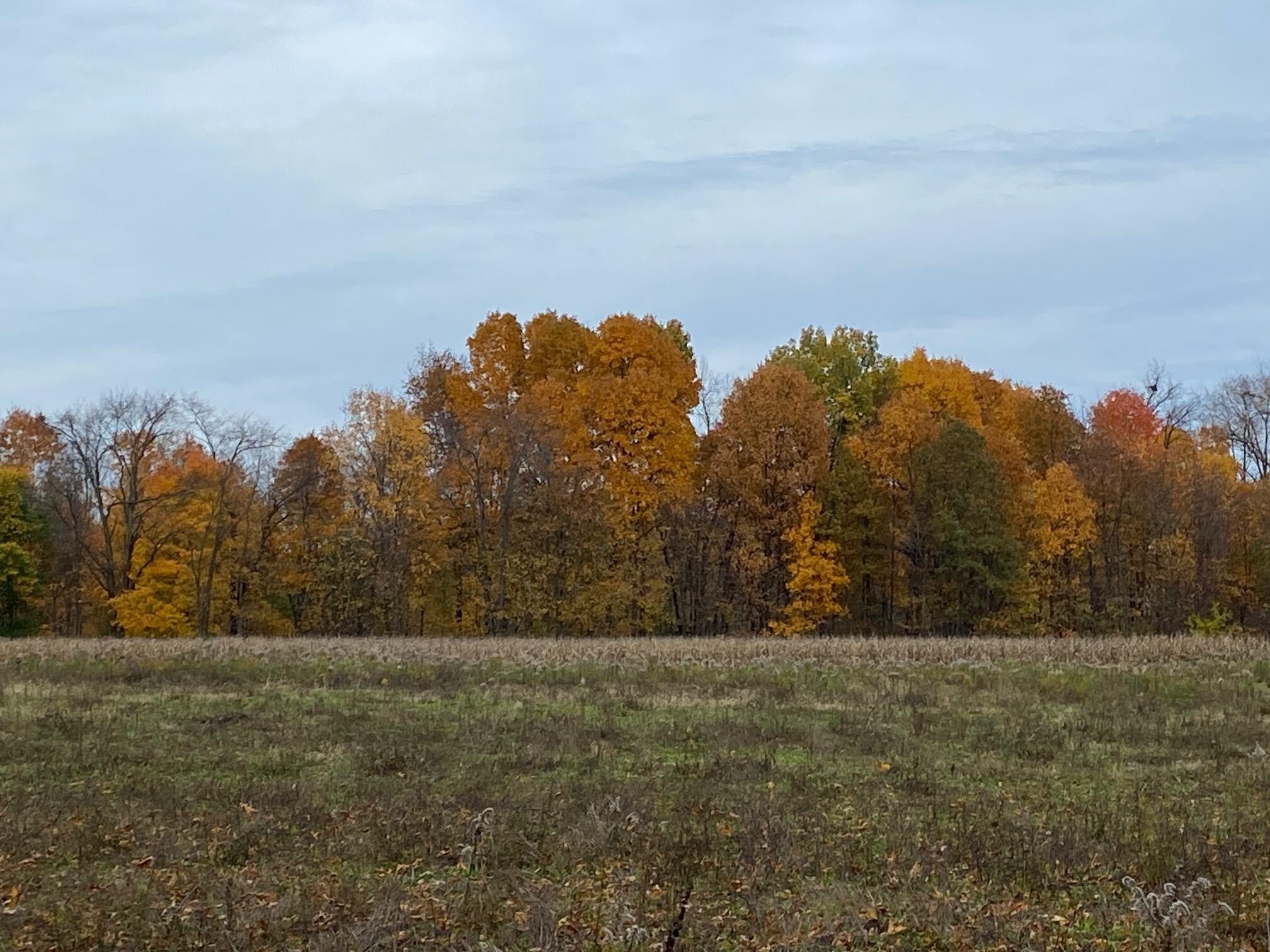 Residential Land in Peaceful Setting