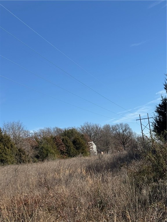 Picture 3