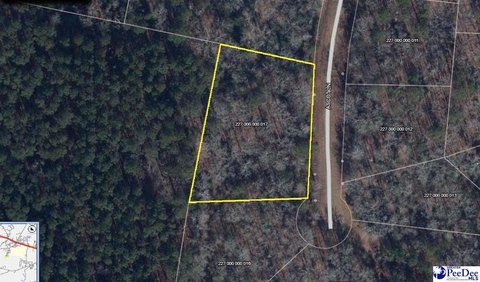 LAND - Cheraw, SC