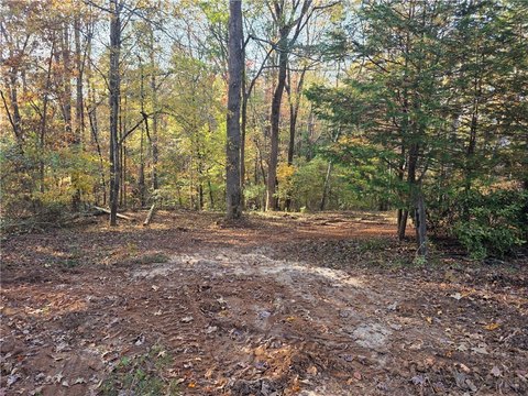 Unrestricted Wooded Lot with Utilities