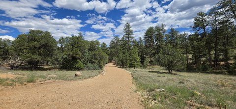 Vacant Land, Texas Creek, CO