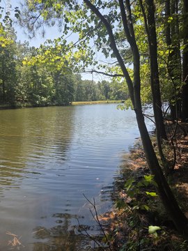 Land, Carthage, NC