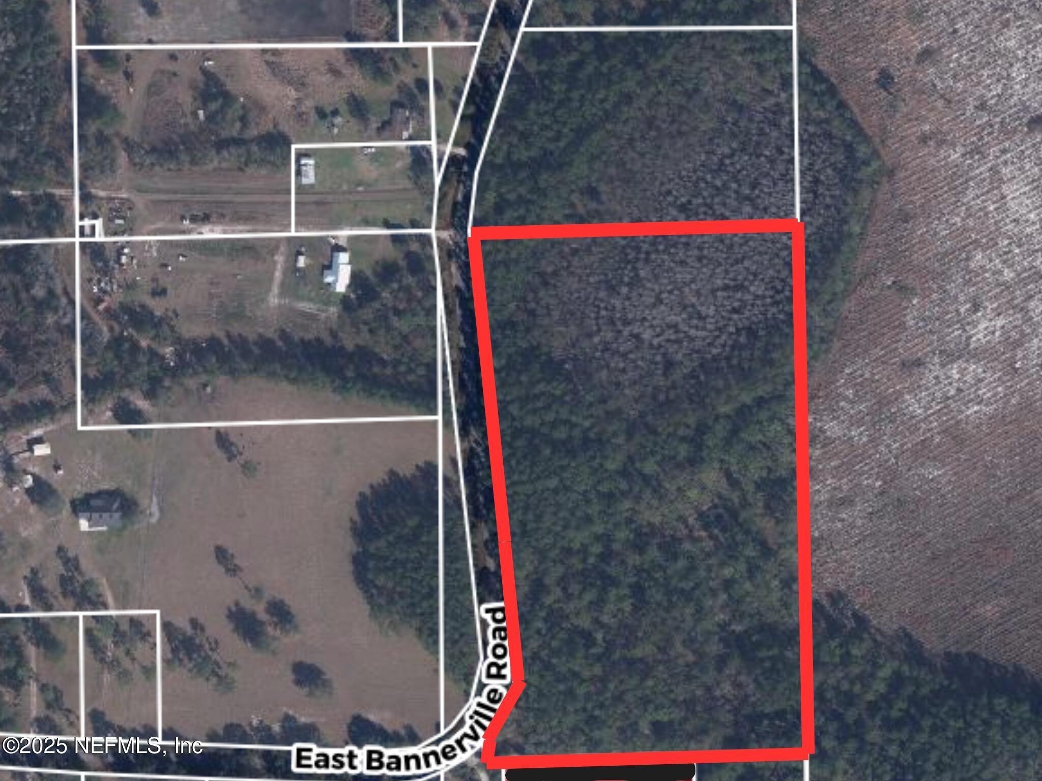 Palatka, FL Unimproved Land