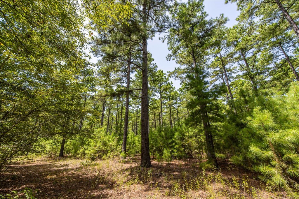 Picture 18
