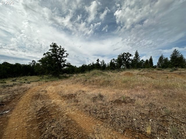Picture 10