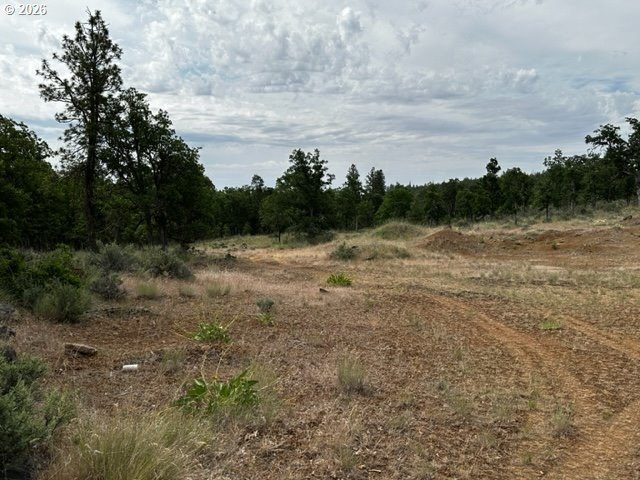 Picture 8