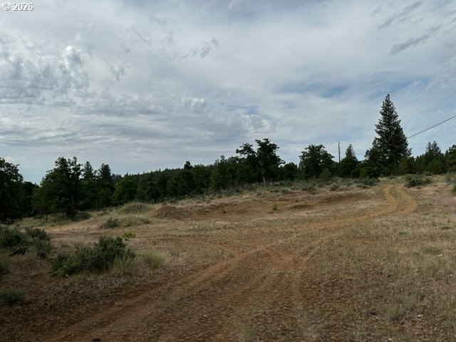 Picture 7