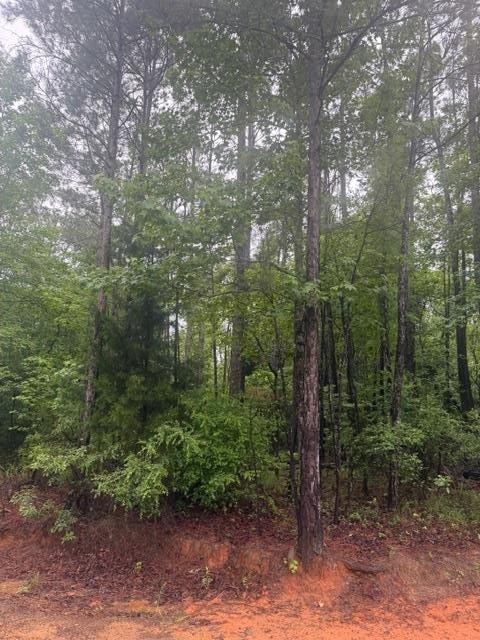 Acre Lot in Englewood Heights