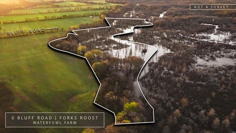 Trenton, TN Waterfowl Hunting Land
