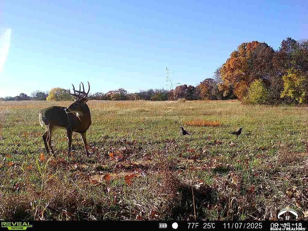 Picture 12