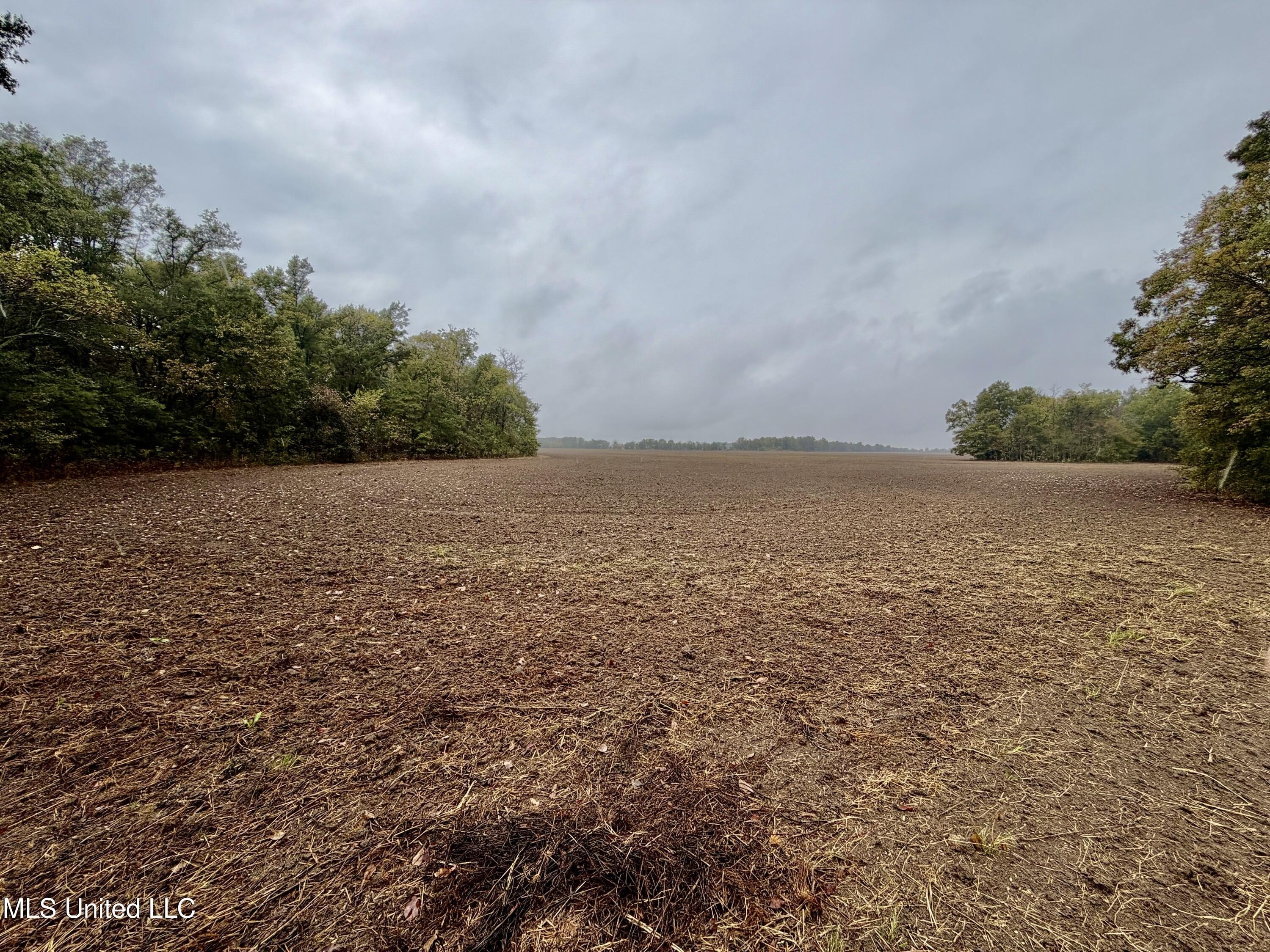 Dundee Hunting and Farmland