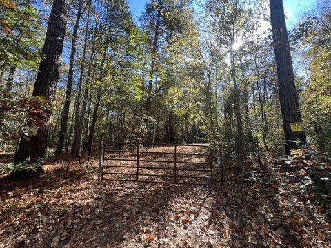 Gently Rolling Timber Land Parcel