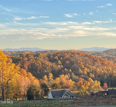 Ridgetop Trail Mountain View Homesite