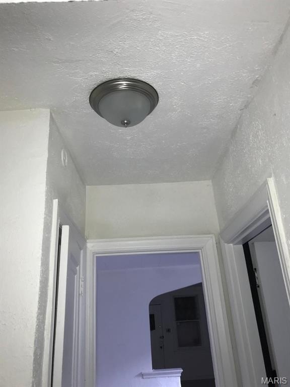 Picture 10