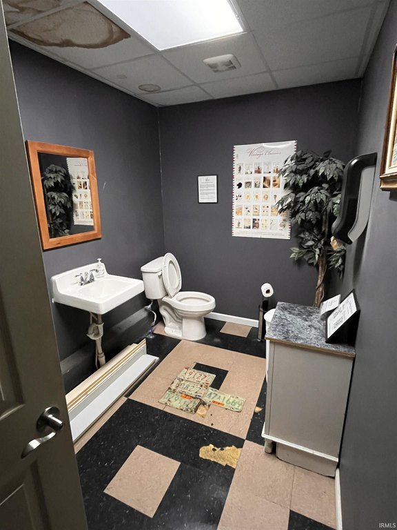 Picture 8