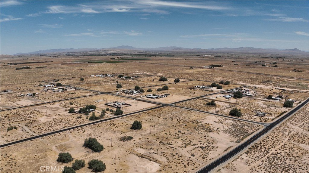 Picture 7