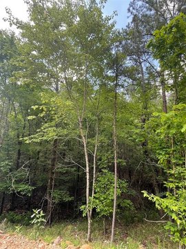 LAND - Broken Bow, OK